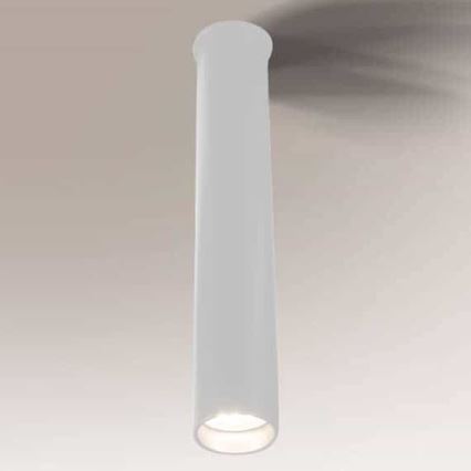 Shilo - Fürdőszobai mennyezeti lámpa 1xGU10-MR11/15W/230V IP44 fehér
