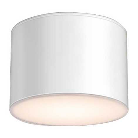 Shilo - Fürdőszobai mennyezeti lámpa 1xGX53/15W/230V IP44 fehér