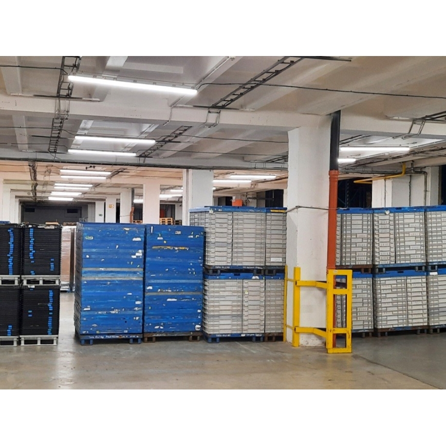 Sinclair - LED Ipari lámpa LED/45W/230V 4000K IK08 IP66