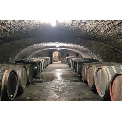 Sinclair - LED reflektor borospincékhez LED/30W/230V 2700K IK10 IP66