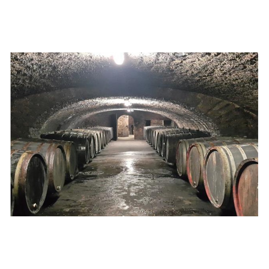 Sinclair - LED reflektor borospincékhez LED/30W/230V 2700K IK10 IP66