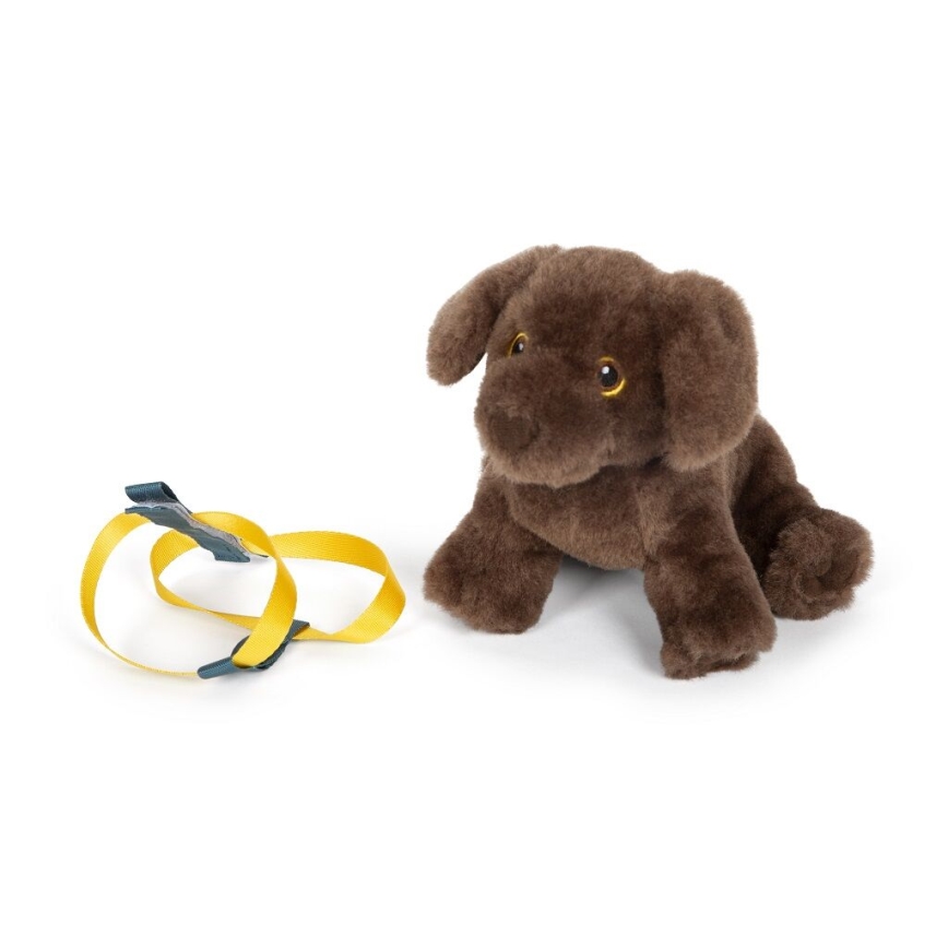 Small Foot - Plüss kutya ápolókészlettel