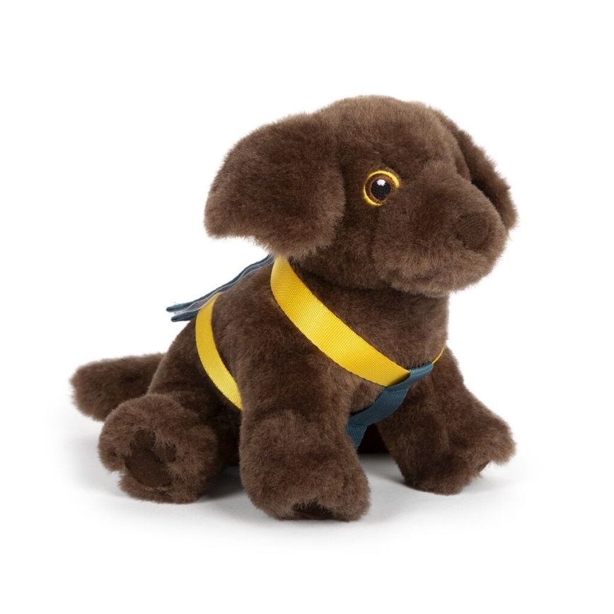 Small Foot - Plüss kutya ápolókészlettel