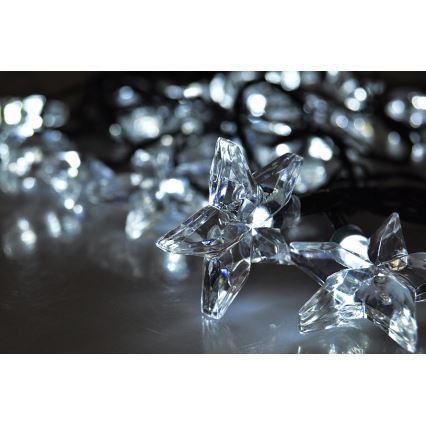 LED Karácsonyi lánc 3m 20xLED/230V