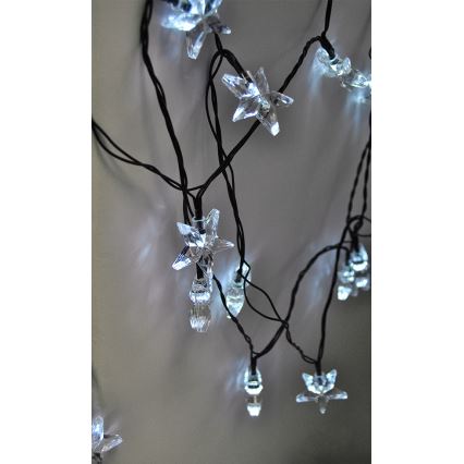 LED Karácsonyi lánc 3m 20xLED/230V