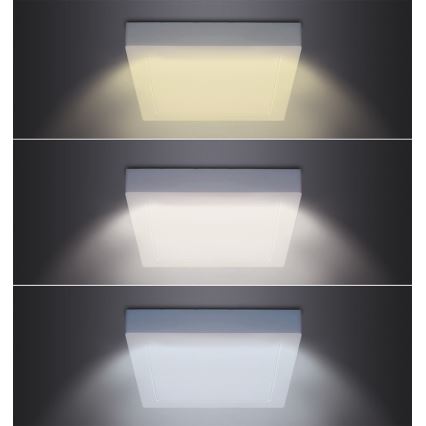 LED mennyezeti lámpa LED/12W/230V 3000/4000/6000K 17x17 cm fehér