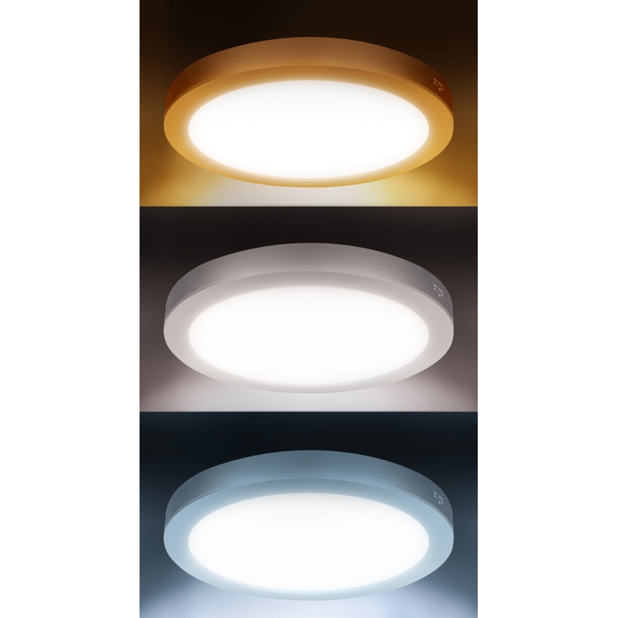 LED felületre szerelhető/süllyesztett panel 2 az 1-ben 24W/230V 3000/4000/6000K átm. 30 cm IP54 ezüst
