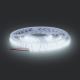 LED Szalag LED/50W/12V 5m hideg fehér