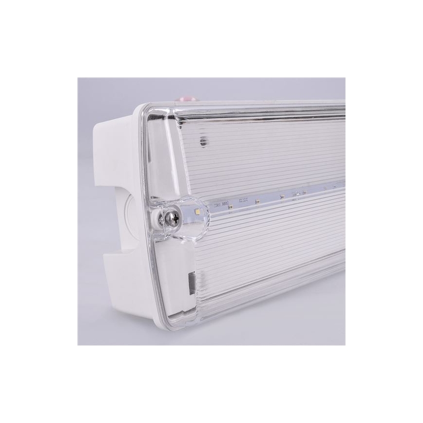 LED Vészvilágítás LED/6W/230V IP65 6500K