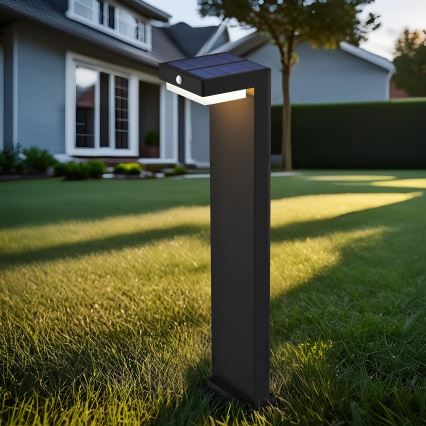 LED napelemes lámpa mozgás- és alkonyatérzékelővel PALERMO LED/5W/5V 2000 mAh IP54 fekete