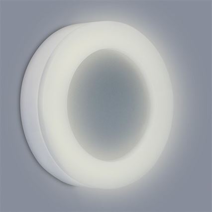 LED Kültéri fali lámpa RING 1xLED/15W/230V 1050 lm IP65
