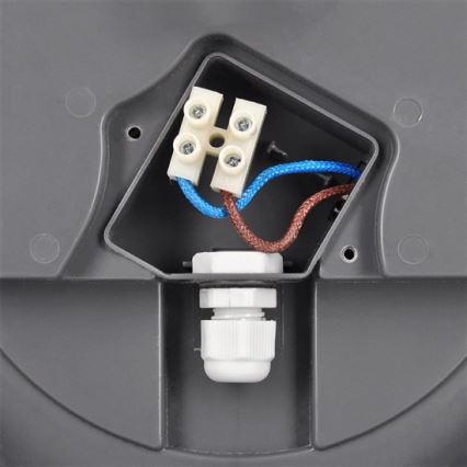 LED Kültéri mennyezeti lámpa LED/13W/230V IP54 antracit