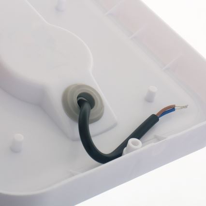 LED Kültéri fali lámpa LED/20W/230V IP54 