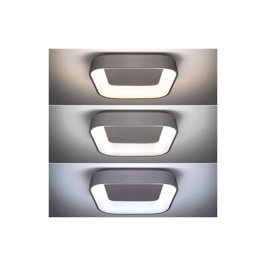 LED Dimmeres mennyezeti lámpa TREVISO LED/48W/230V + távirányító