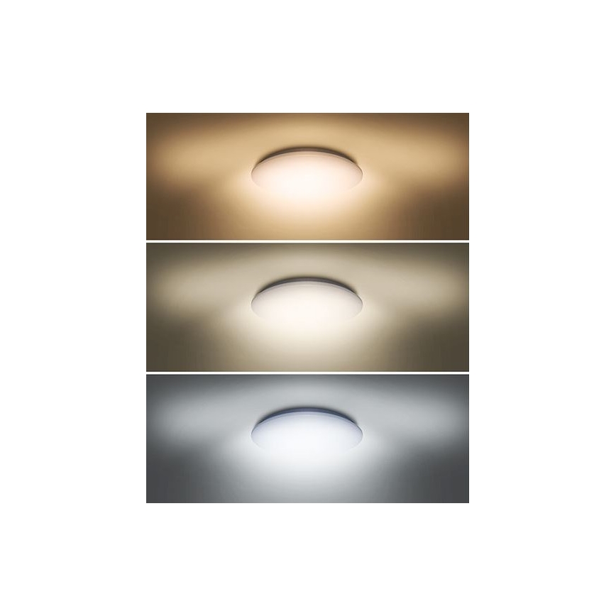 LED Mennyezeti lámpa PLAIN LED/24W/230V 3000K/4000K/6000K kerek