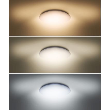 LED Mennyezeti lámpa PLAIN LED/36W/230V 3000/4000/6000K kerek