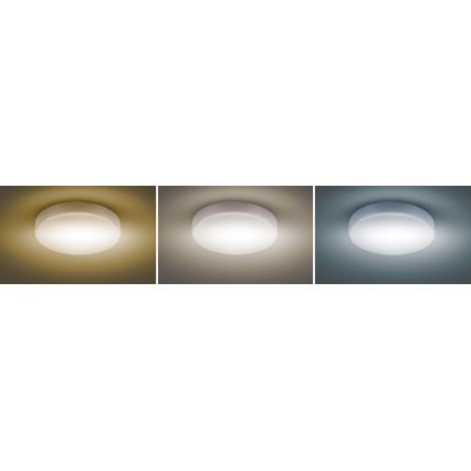 LED Dimmelhető mennyezeti lámpa LED/36W/230V 3000-6000K + távirányítás