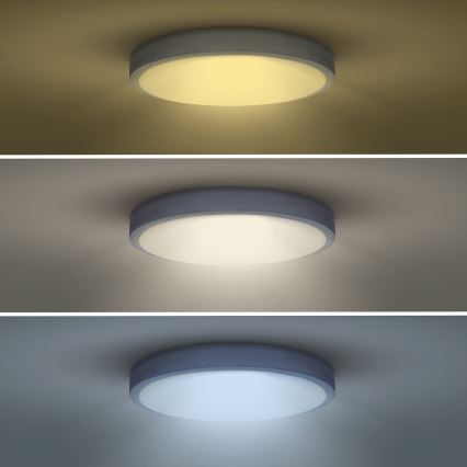 LED Fényerőszabályzós mennyezeti lámpa GREY LED/60W/230V 3000-6500K szürke átmérő 49 cm + távirányító