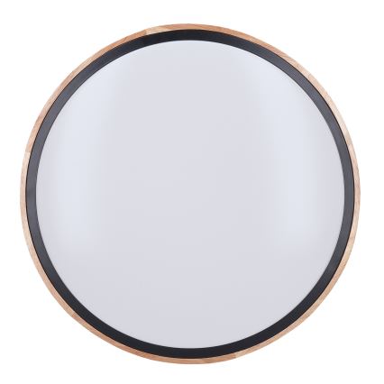 LED Fényerőszabályzós mennyezeti lámpa IRON OAK LED/60W/230V 3000-6500K tölgy átmérő 51 cm + távirányító