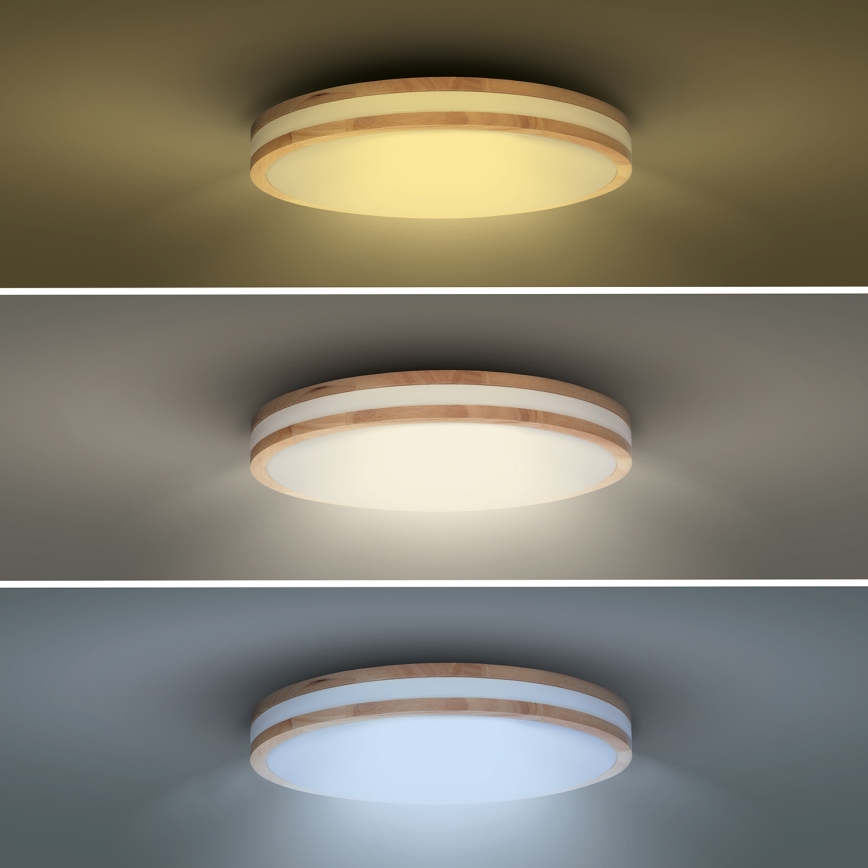 LED Dimmeres mennyezeti lámpa WOODY LED/48W/230V 3000-6500K tölgy Ø 38 cm + távirányító