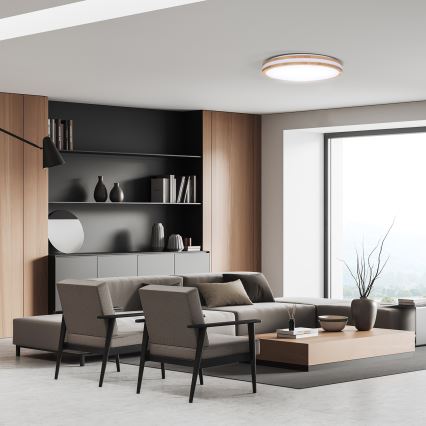 LED Dimmeres mennyezeti lámpa WOODY LED/60W/230V 3000-6500K tölgy átmérő 50 cm + távirányító