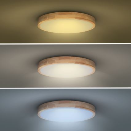 LED Dimmeres mennyezeti lámpa SOLID OAK LED/48W/230V 3000-6500K tölgy átmérő 39 cm + távirányító