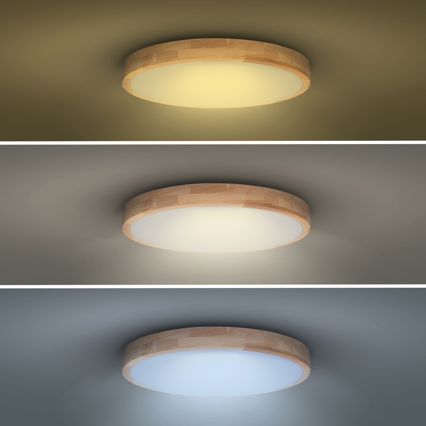 LED Dimmeres mennyezeti lámpa SOLID OAK LED/48W/230V 3000-6500K tölgy átmérő 39 cm + távirányító