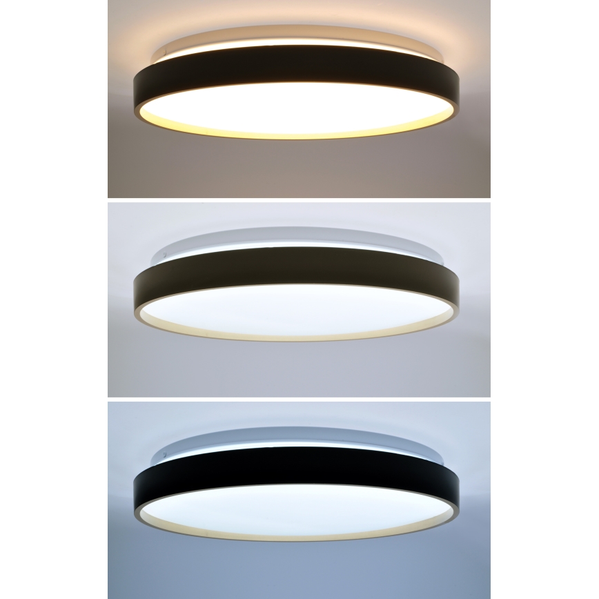 LED Dimmelhető mennyezeti lámpa CALA LED/48W/230V 3000-6500K fekete/arany + távirányítás