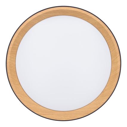 LED Dimmelhető mennyezeti lámpa LARIOS LED/48W/230V 3000-6500K átm. 39 cm fekete + távirányítás