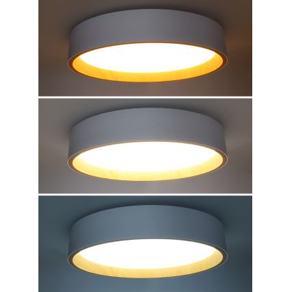 LED Dimmeres mennyezeti lámpa LARIOS LED/48W/230V 3000-6500K átm. 39 cm fehér + távirányító