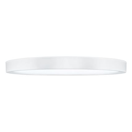 LED Dimmelhető mennyezeti lámpa ESTELA LED/36W/230V átm. 30 cm fehér + távirányítás