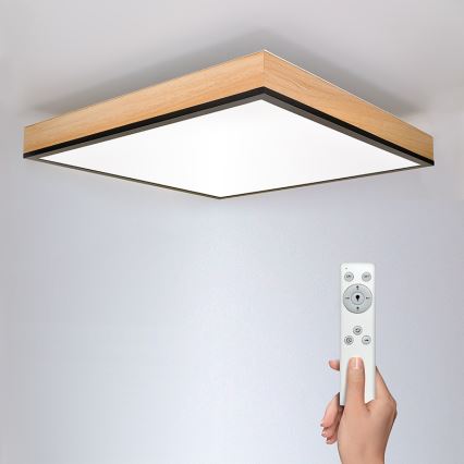 LED Dimmelhető mennyezeti lámpa LED/40W/230V 3000-6500K + távirányító