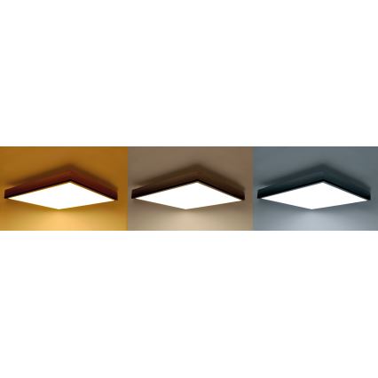 LED Dimmelhető mennyezeti lámpa LED/40W/230V 3000-6500K + távirányító