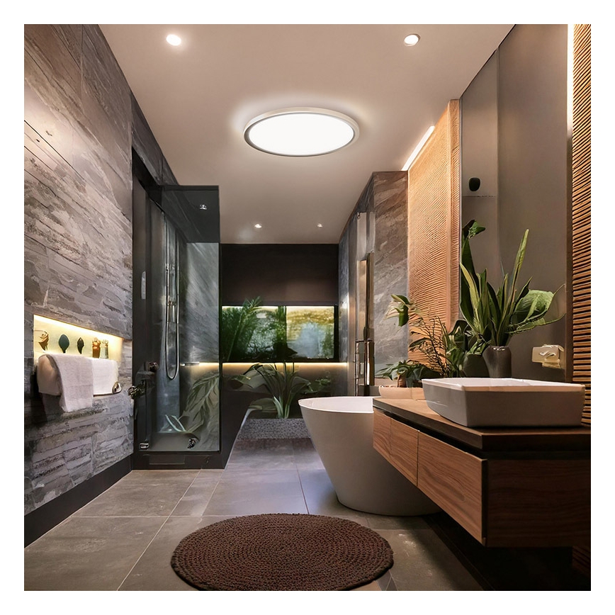 LED fürdőszobai mennyezeti lámpa ACATE LED/18W/230V 3000/4000/6000K átmérő 22 cm IP54