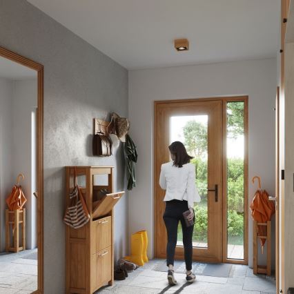 Mennyezeti lámpa QUATRO AR111 1xGU10/40W/230V bükkfa