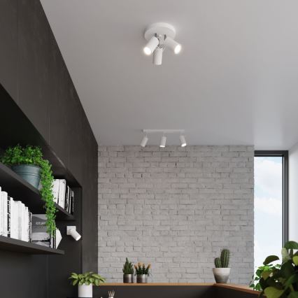 Spotlámpa RING 3xGU10/10W/230V fehér