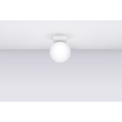 Mennyezeti lámpa YOLI 1xG9/12W/230V fehér
