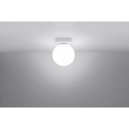Mennyezeti lámpa YOLI 1xG9/12W/230V fehér