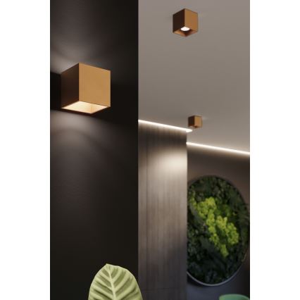 Spotlámpa QUAD 1xGU10/10W/230V arany