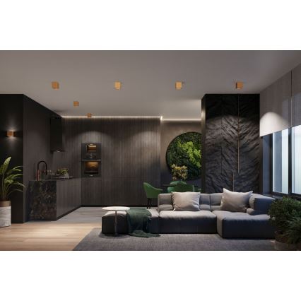 Spotlámpa QUAD 1xGU10/10W/230V arany