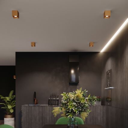 Spotlámpa QUAD 1xGU10/10W/230V arany