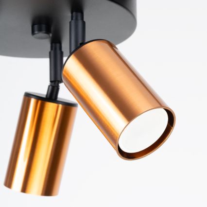 Spotlámpa WINX 3xGU10/10W/230V fekete/réz