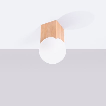 Spotlámpa SOLIS 1xG9/8W/230V bükkfa