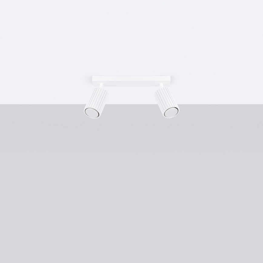 Spotlámpa KARBON 2xGU10/10W/230V fehér