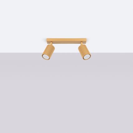 Spotlámpa KARBON 2xGU10/10W/230V arany