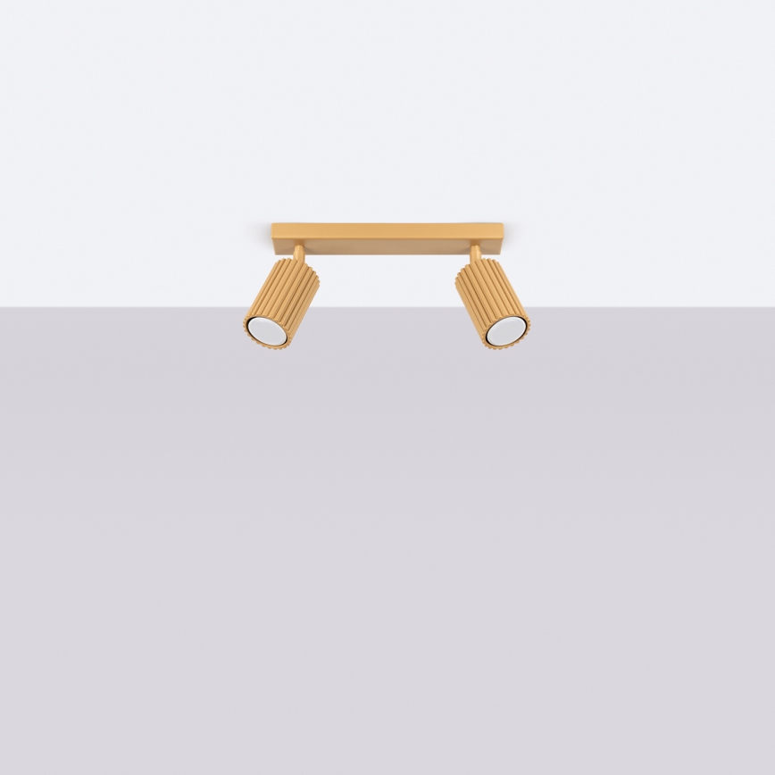 Spotlámpa KARBON 2xGU10/10W/230V arany