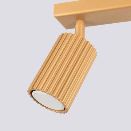 Spotlámpa KARBON 2xGU10/10W/230V arany