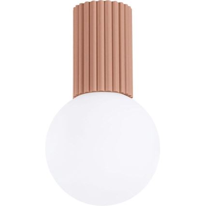 Fürdőszobai mennyezeti lámpa HALO 1xG9/8W/230V átm. 12 cm IP44 barna
