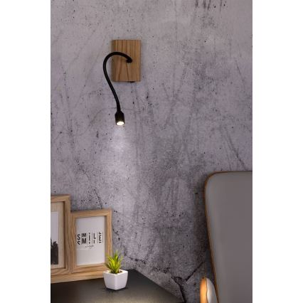 LED fali lámpa LECTOR LED/2,5W/230V tölgy