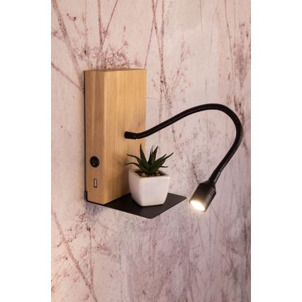 LED fali lámpa LECTOR LED/2,5W/230V USB tölgy